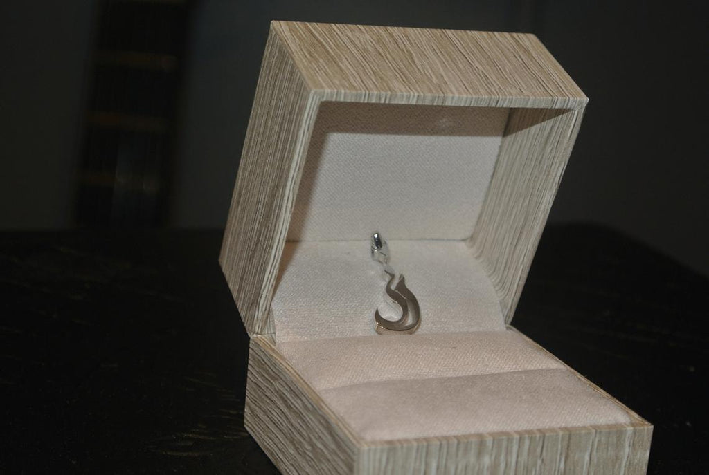 Name Necklace / Persian Calligraphy Name Necklace